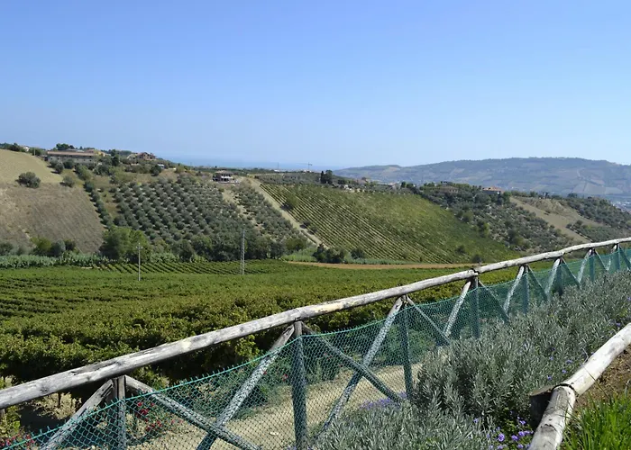 Agriturismo Il Sapore Della Luna