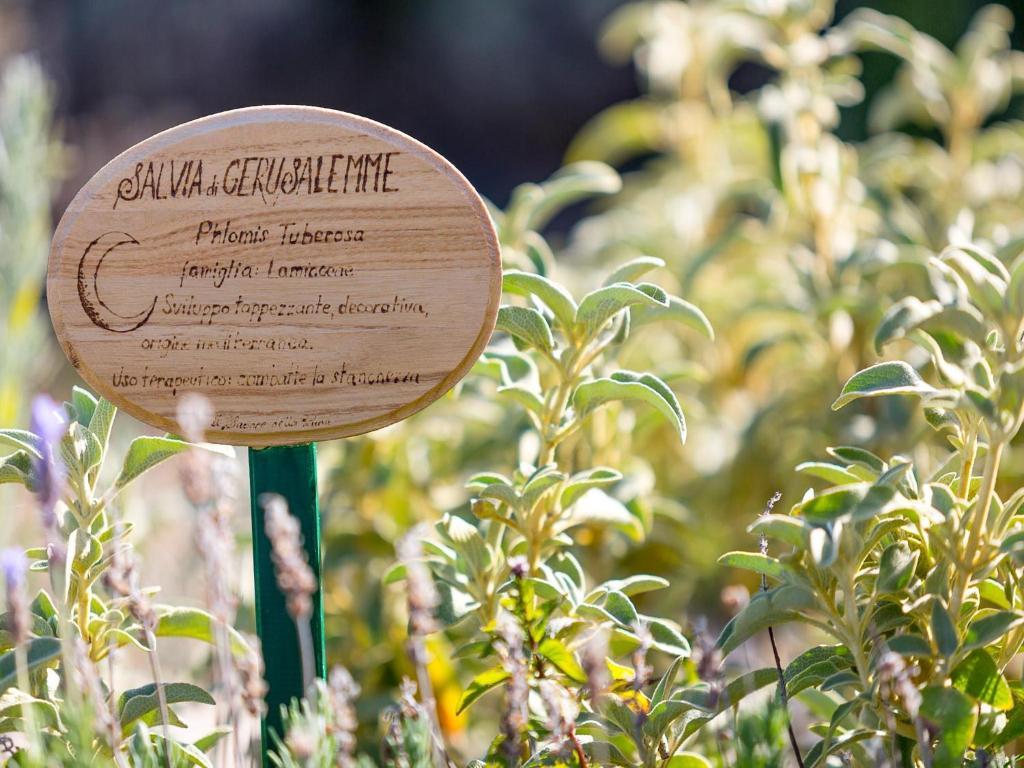 Il Sapore Della Luna Casa rural Monteprandone